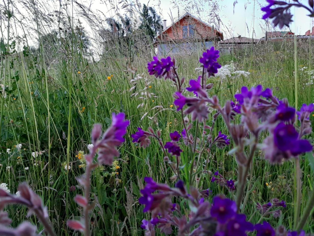 Вила Орцево Vila Ortsevo Eksteriør bilde
