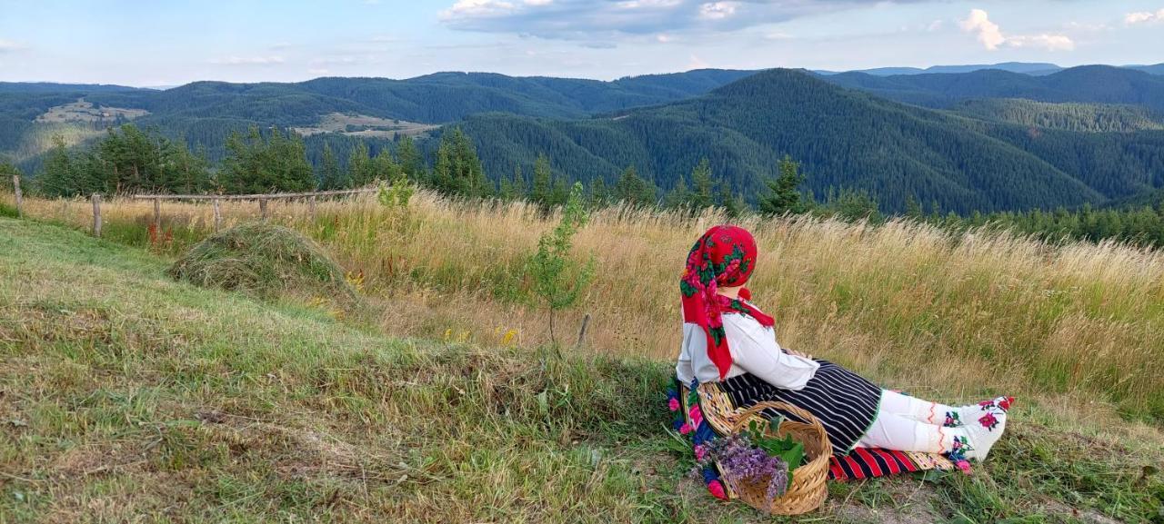 Вила Орцево Vila Ortsevo Eksteriør bilde